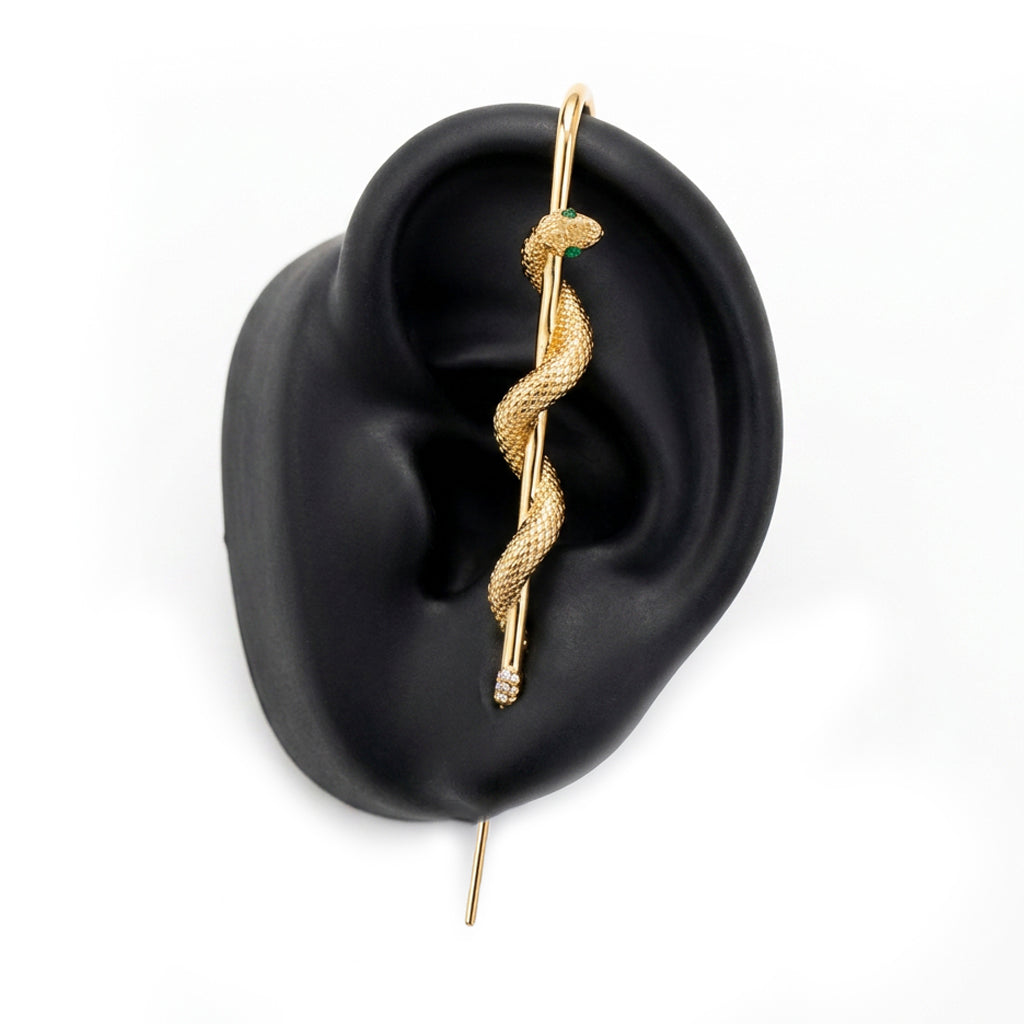 Coiled Snake