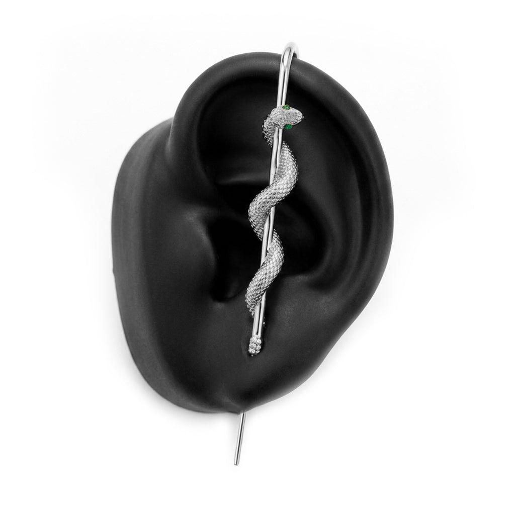Coiled Snake