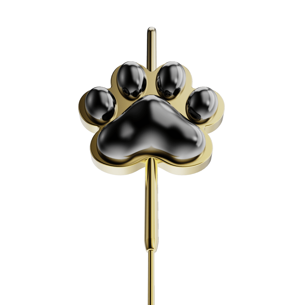 Midnight Paw