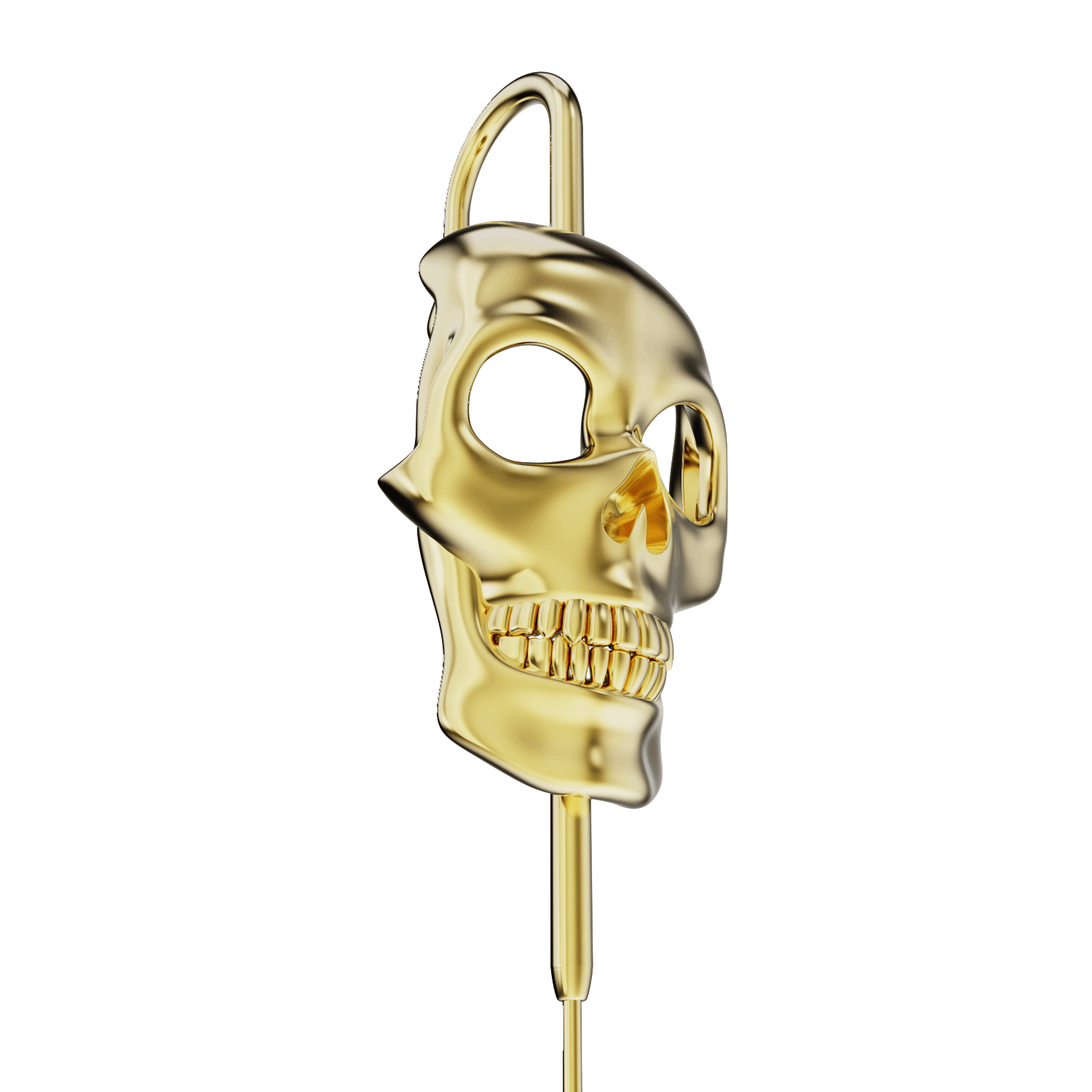 Raw Skull