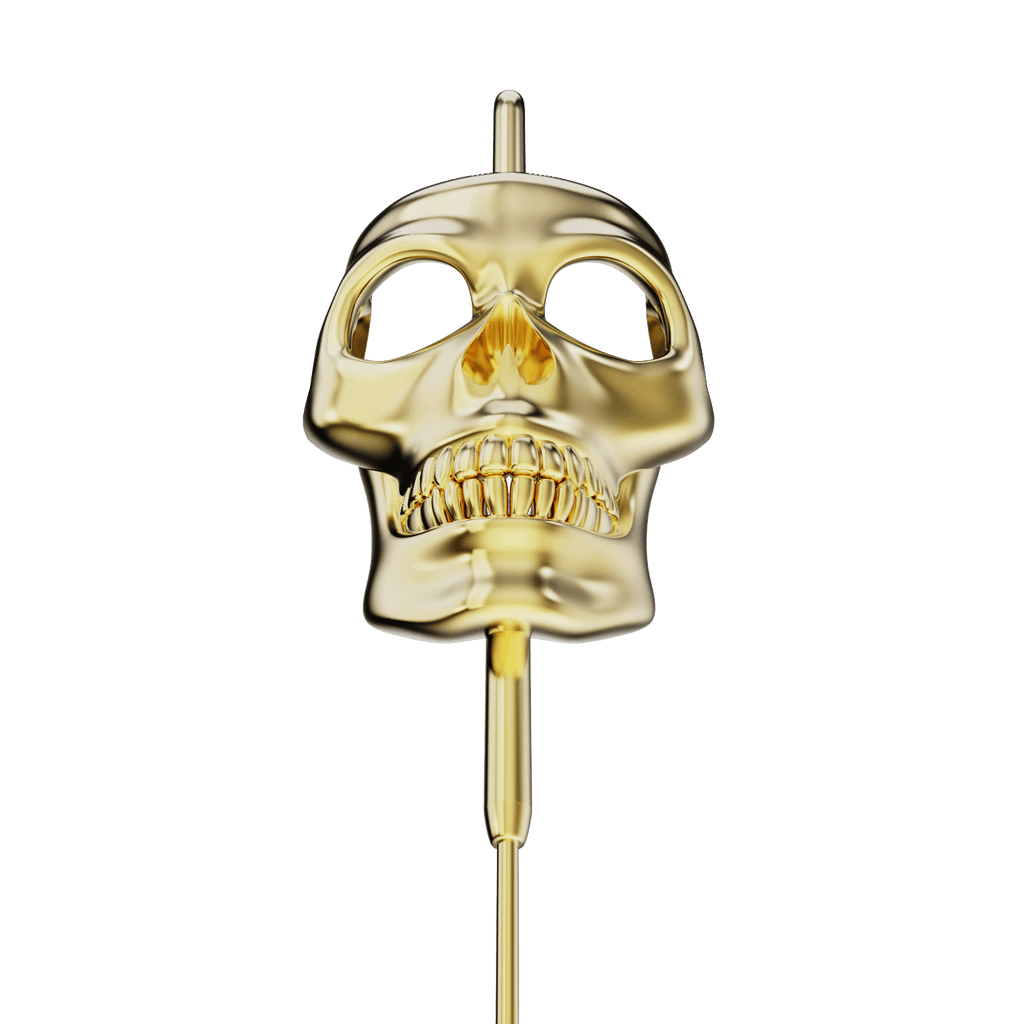 Raw Skull