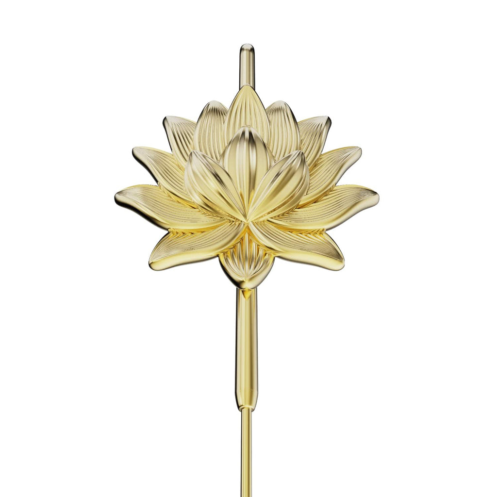 Lotus Bloom
