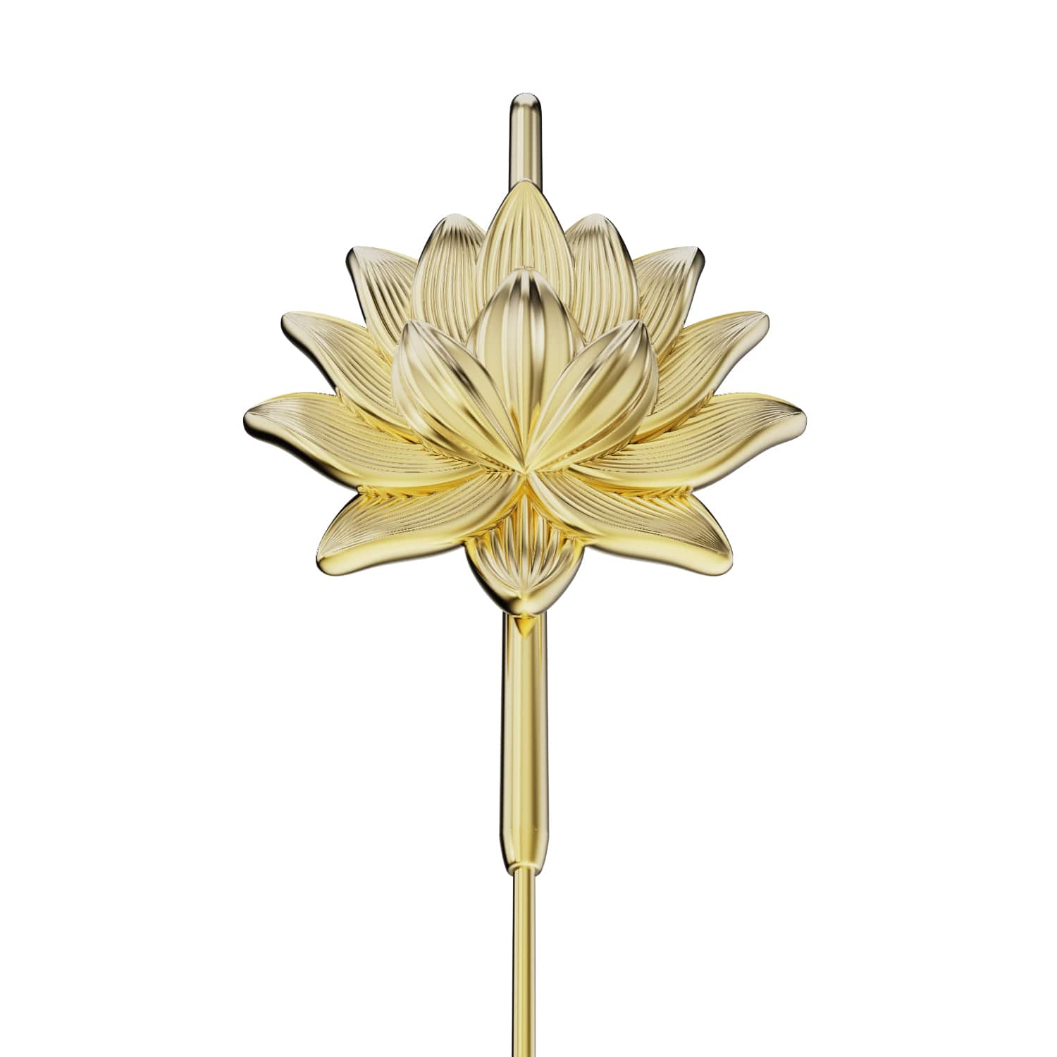 Lotus Bloom