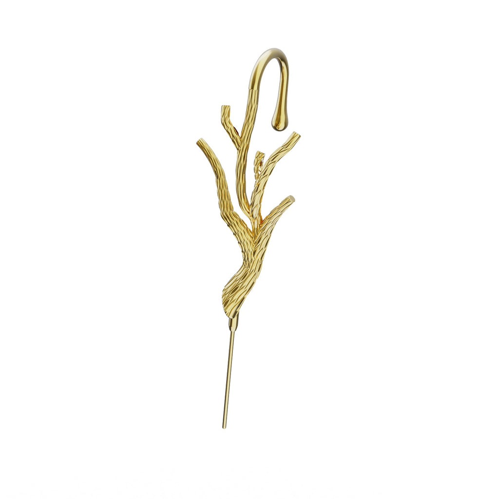 Wild Branch