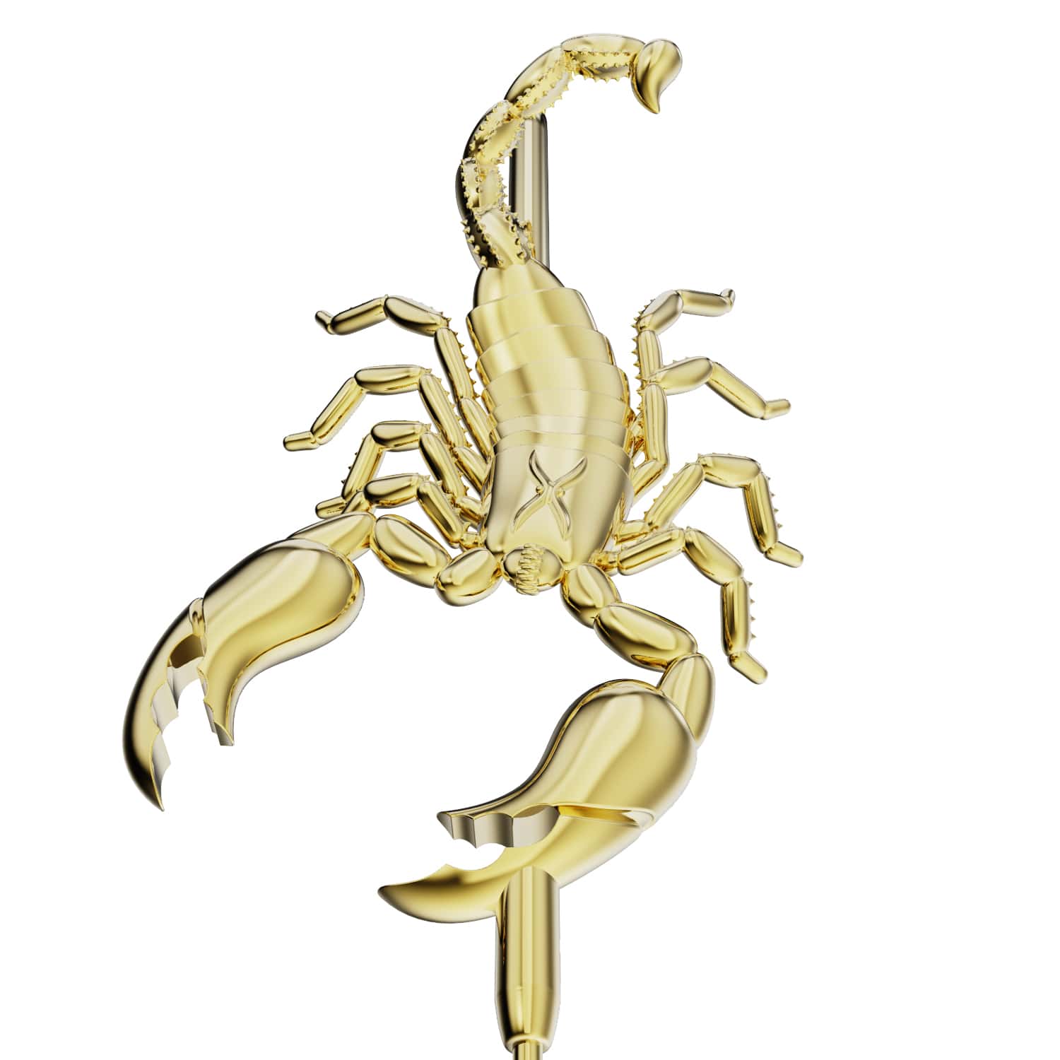 Fierce Scorpion
