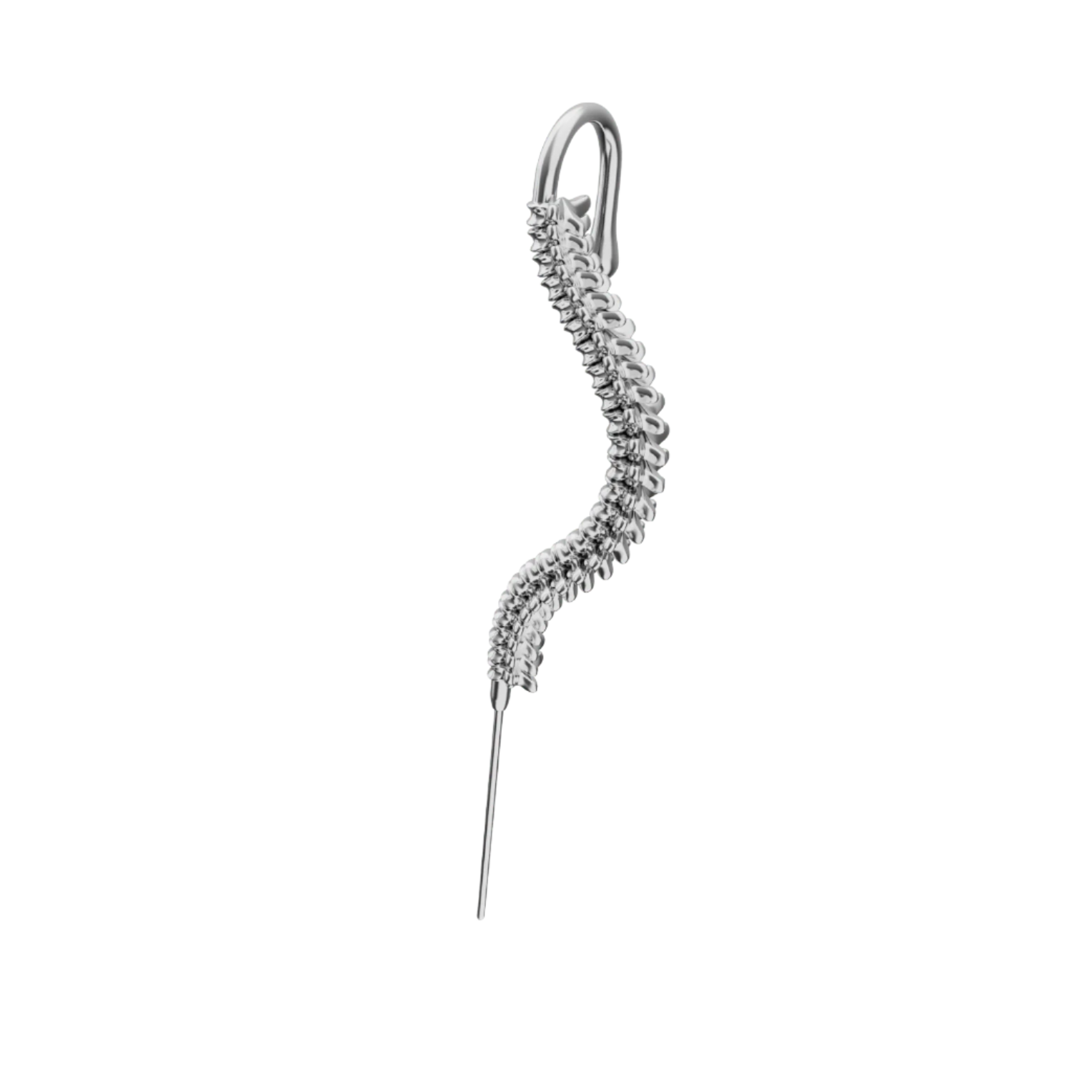 Curved Spine